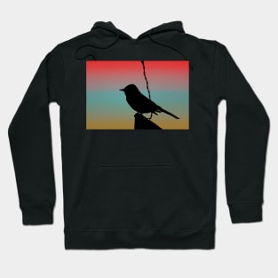 Black Phoebe on Sign Silhouette on Tuscan Sunset Hoodie